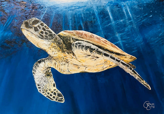 PRE-ORDER "FAITH" LIMITED EDITION HAND SIGNED SEA TURTLE PRINT