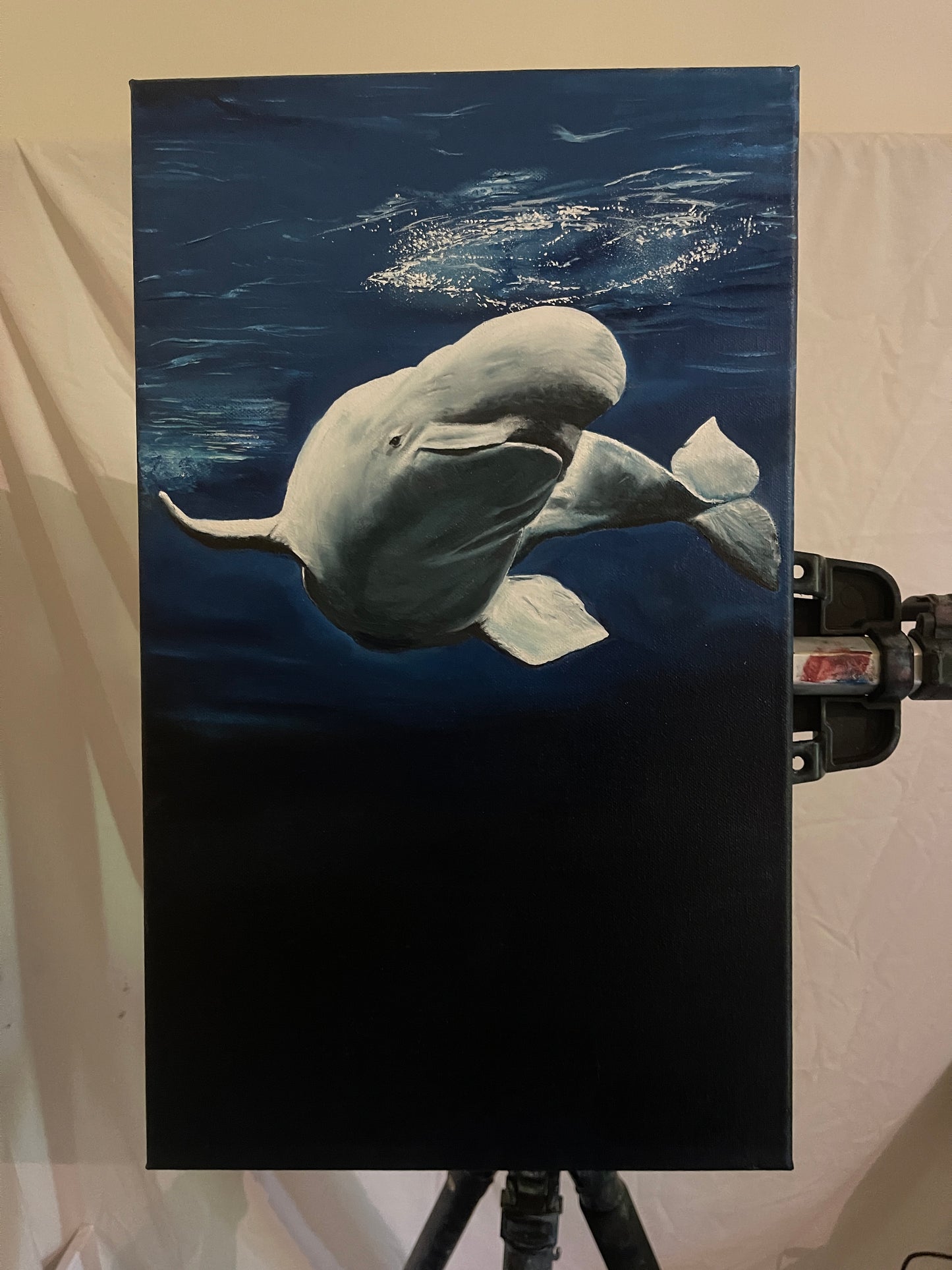 Special Discount for Mandz (Billie The Beluga)