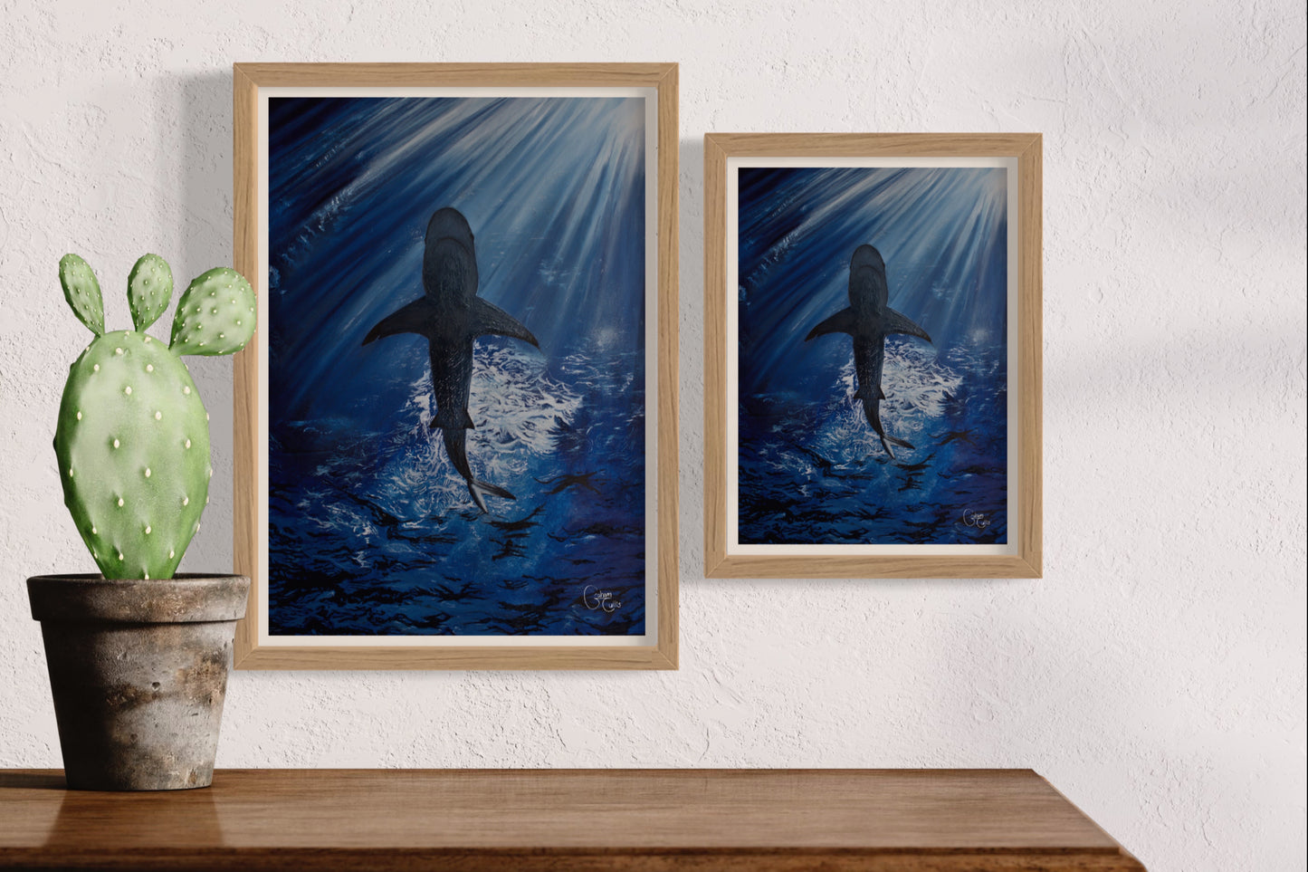 Print of Deep Blue (White Tipped Shark)