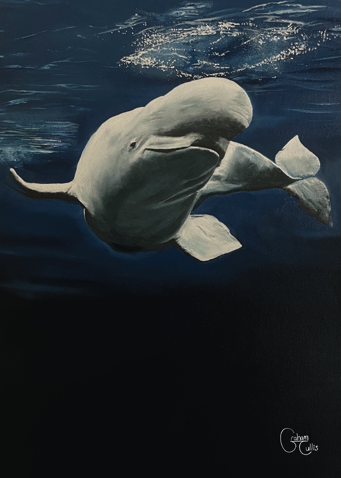 Print of Bille Beluga