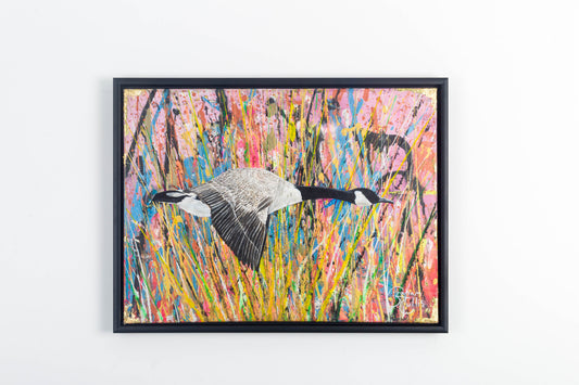 7. Cardiff (Penarth) Canada Goose of Peace (Limited Edition Framed Canvas Print)