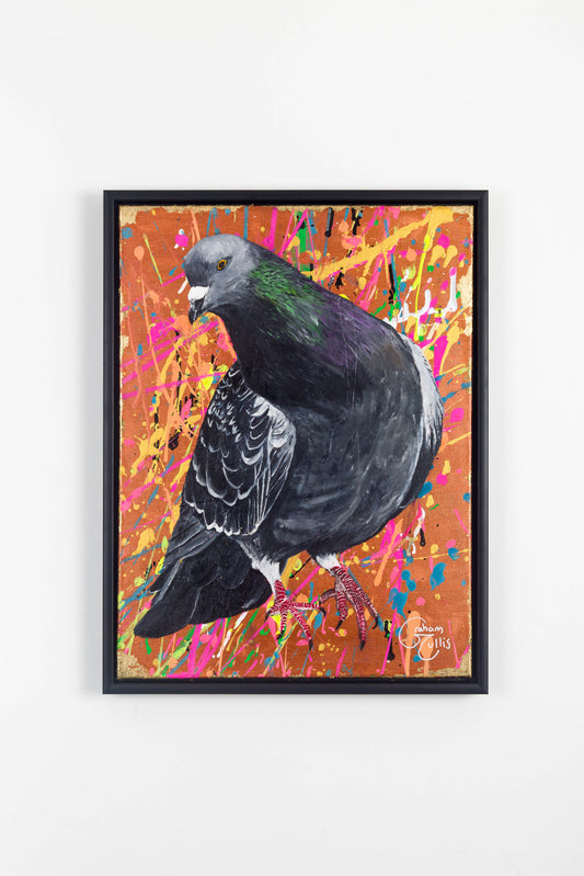 30. The Plymouth Pidgeon