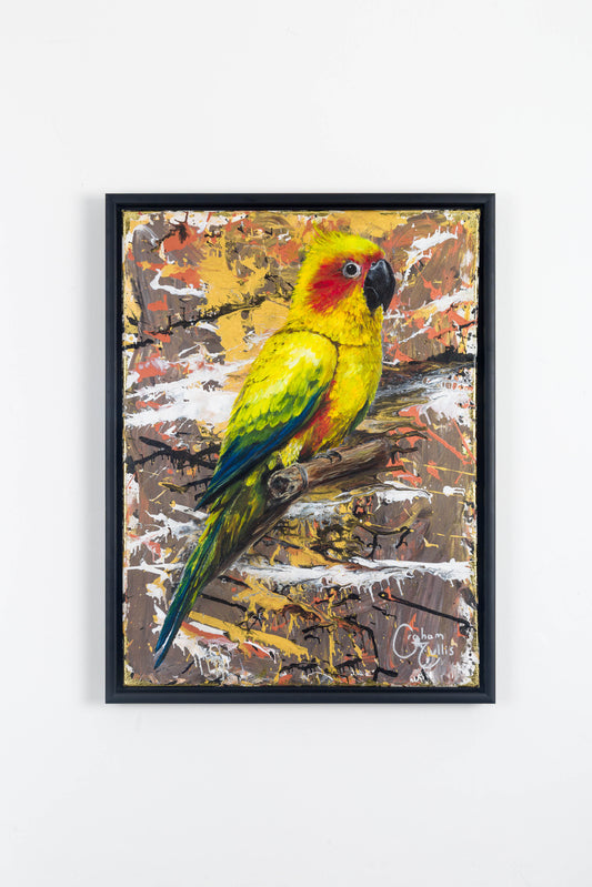 24. Hastings - Mango (Limited Edition Framed Canvas Print)