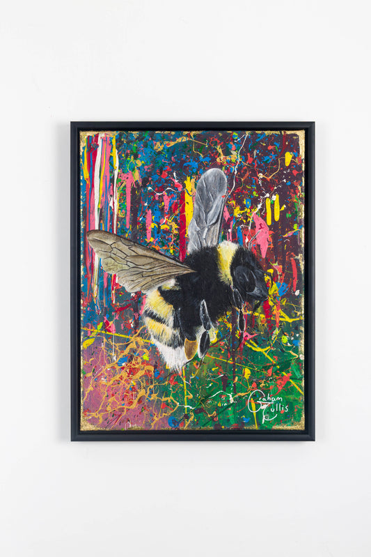 15. Inverness - Mikey's Bee (Limited Edition Framed Canvas Print)