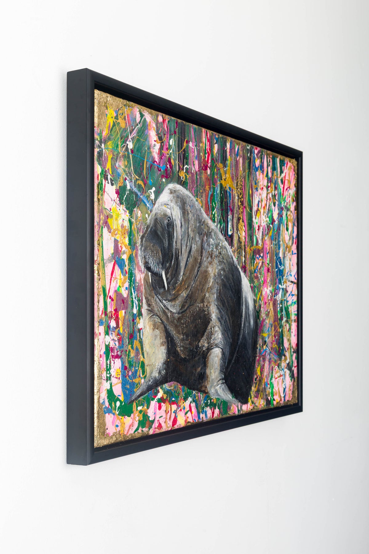 8. St Davids - Wally The Walrus