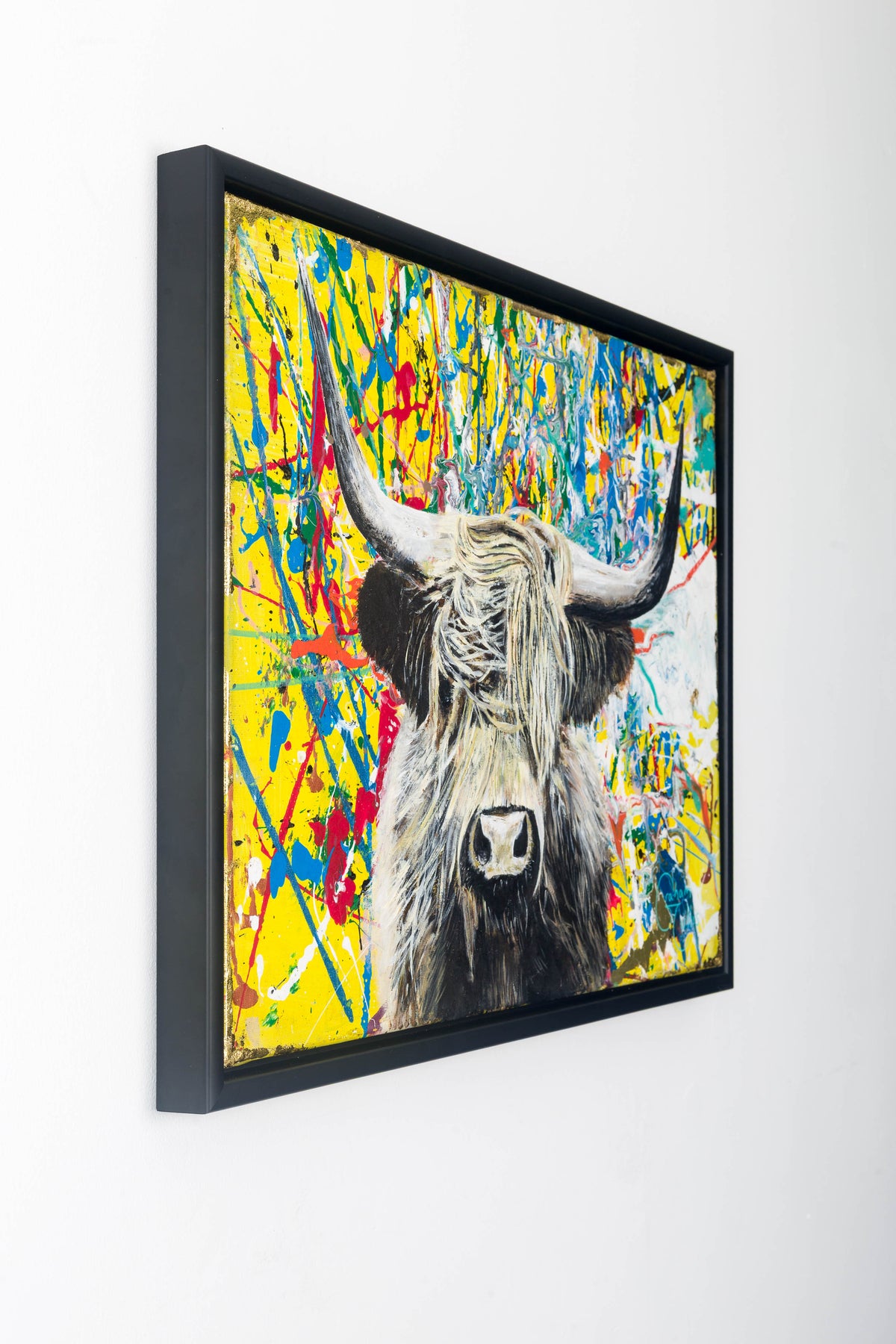 14. The Highland Cow of Thurso/John 0' Groats