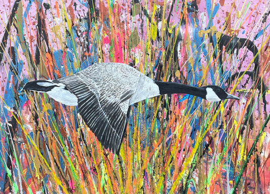 Cardiff (Penarth) Canada Goose of Peace  - Item 8