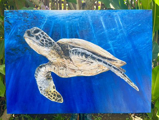 PRE-ORDER "FAITH" LIMITED EDITION HAND SIGNED SEA TURTLE PRINT