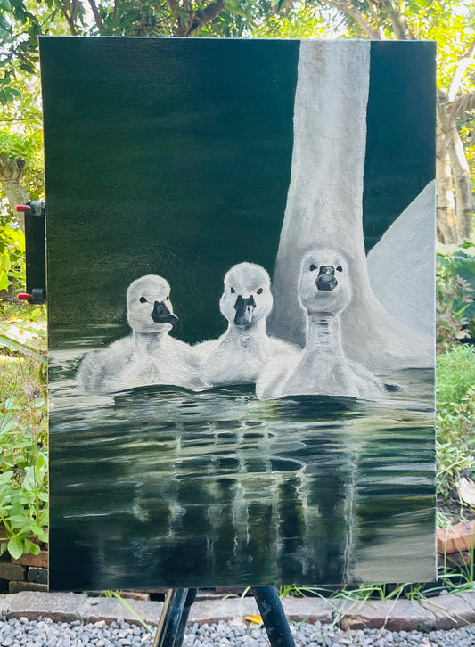 Peter Paul & Podrick (Three Signet Swans) - Oil On Canvas