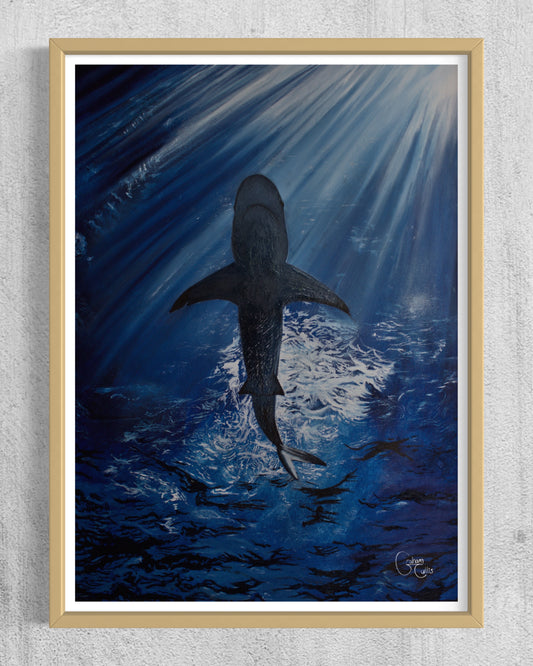 Print of Deep Blue (White Tipped Shark)