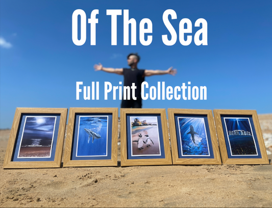 "Of The Sea" (Full 5 Print Collection)