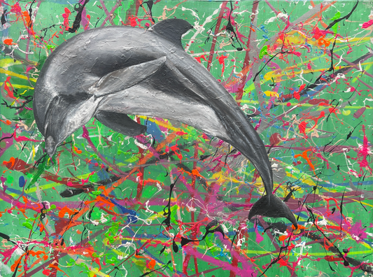 Aberystwyth Dolphin - Item 10